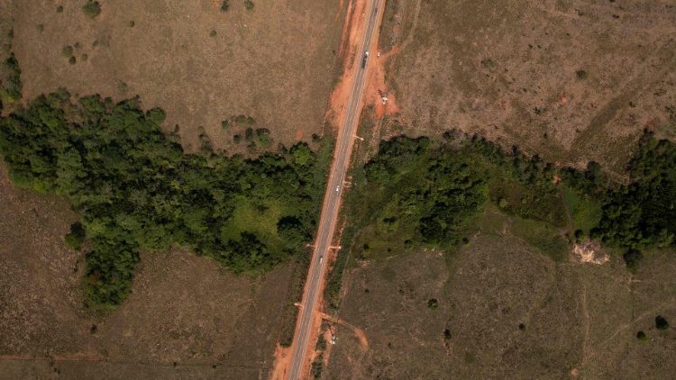 Vue aérienne d'une zone de déforestation de l'Amazonie
