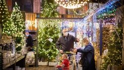 Weihnachtsbaum-Kauf in den Niederlanden