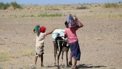 Sequía y hambruna en, al menos, 18 países de África
