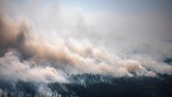 A forest fire in Berdigestyakh, Siberian Russia.