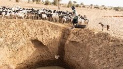 Un pastor recoge agua para sus ovejas en un pozo improvisado, excavado en el lecho seco de un río, a las afueras de la aldea de Madina Torobe, en la región de Matam, el 12 de marzo de 2022.
