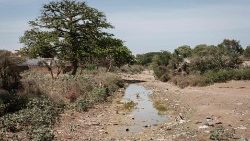  A dry river bed  in Somalia