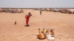 Kenia: biskupi apelują o pomoc z powodu suszy