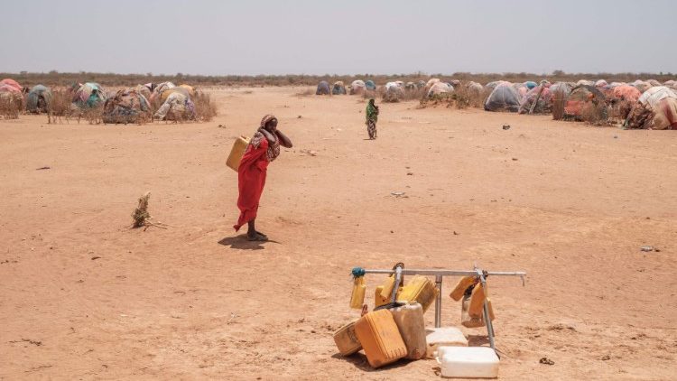 Kenia: biskupi apelują o pomoc z powodu suszy