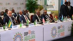 आबिदजान में कोप 15 शिखर सम्मेलन में मौजूद कुछ अफ्रीकी नेता