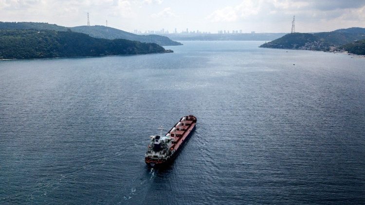 穀物輸出再開合意後、ウクライナ産の穀物を積載し、黒海の出口、ボスポラス海峡に到達した最初の貨物船　2022年8月2日