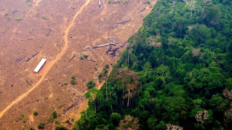 Vue sur une déforestation par le feu en Amazonie brésilienne, dans la région de Labrea, en septembre 2022.