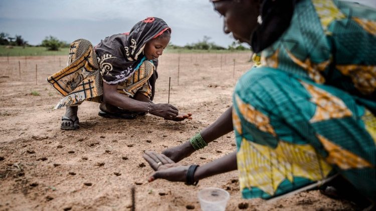 Women planting seeds in the African Sahel