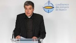 The president of the the French Bishops' Conference, Archbishop Eric de Moulins-Beufort