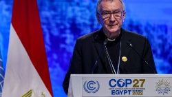 Le cardinal Pietro Parolin, lors de son allocution à la tribune de la COP27, le mardi 8 novembre 2022.