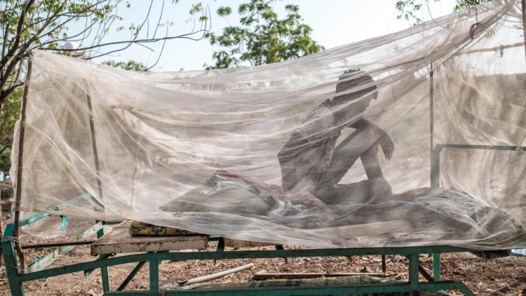Moskitonetze können vor einer Infektion mit Chikungunya schützen - doch das ist nicht genug.