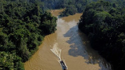 Amazonie: la survie des Yanomami menacée par l’orpaillage illégal