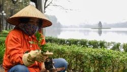 Eine Arbeiterin kümmert sich um Pflanzen am Hoan Kiem-See bei Hanoi