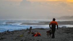 A member of the police and his dog patrol the beach where debris of the migrant boat shipwreck