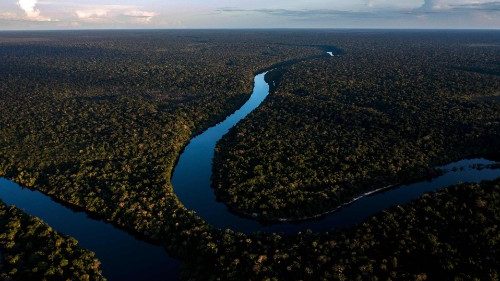 Brasilien: Kirchliches Netzwerk unterstützt Amazonasgipfel