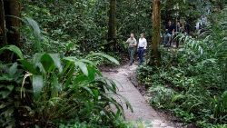 Una immagine del tour del presidente francese Macron in Gabon, tra le foreste del Paese