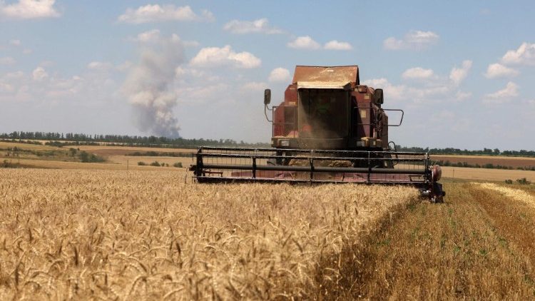 Комбайн жъне пшеница в поле близо до село Новософиевка, област Николаев, 18.07.2023