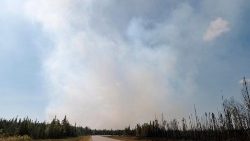 La grave sequía también ha producido otros incendios que se han registrado más cerca de la frontera con Estados Unidos y en el noroeste del Pacífico estadounidense. (AFP or licensors)