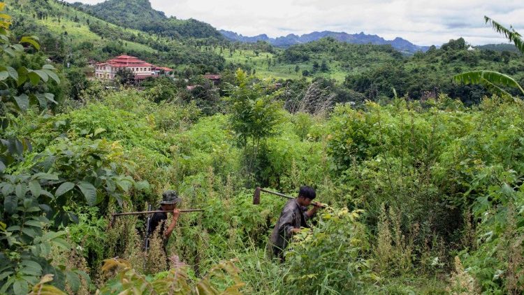 Members of the Karenni Nationalities-Defense Force search for landmines planted by the Myanmar military junta near Pekon township