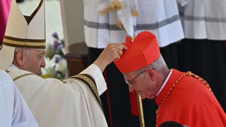 Kardinali Stephen Brislin, Askofu mkuu Jimbo kuu la Cape Town