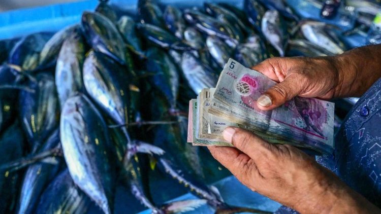 MALDIVES-ECONOMY-FISHERY