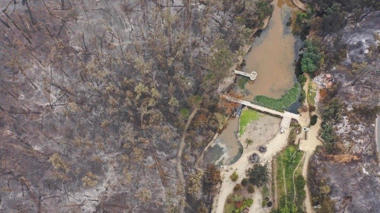 Schäden durch Waldbrände in Chile