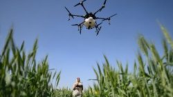 Una mujer utiliza un drone en el trabajo agricola
