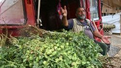 Ein syrischer Flüchtling im Libanon verkauft Gemüse am Straßenrand