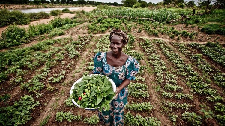 Oxfam, in Italia 430 mila lavoratori agricoli irregolari 