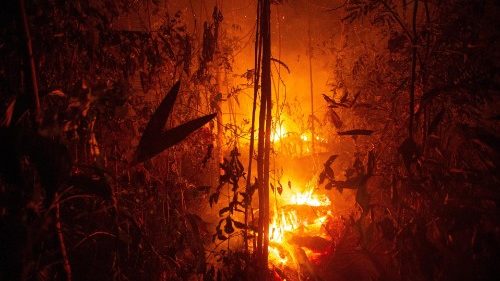Appello del Papa per l’Amazzonia: fermare al più presto gli incendi