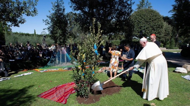 Papa sadi stablo iz Asiza u Vatikanskim vrtovima; 4. listopada 2019.