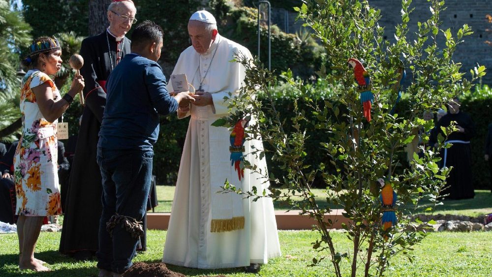 Sinodo: il Papa pianta albero Assisi in giardini vaticani