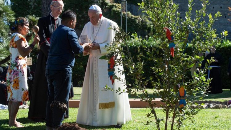 Папа сажает дерево из Ассизи в Ватиканских садах