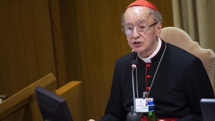 胡默斯枢机在亚马逊世界主教会议中作报告