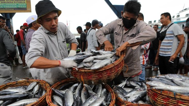 Workers unload fish froma ship in a port in Banda Aceh, Indonesia.