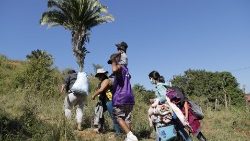 Migrantes percorrem quilômetros esperando chegar na "terra prometida", os Estados Unidos