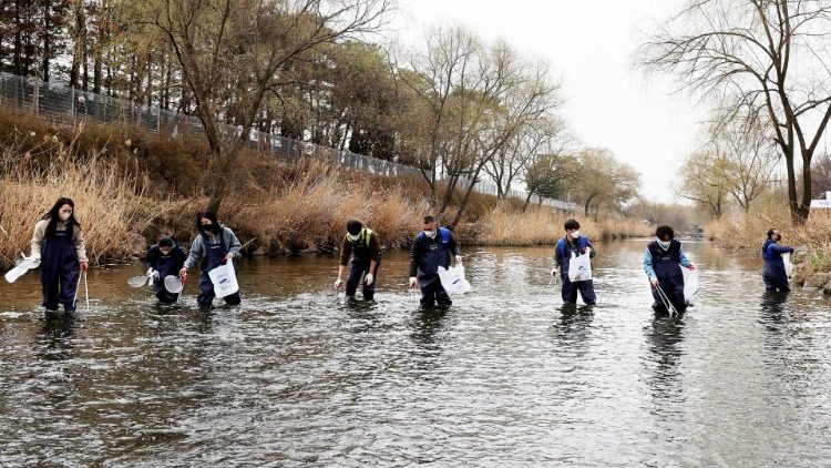 Civic activists retrieve rubbish from a stream in Suwon, South Korea