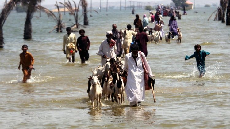 Lũ lụt tại Pakistan