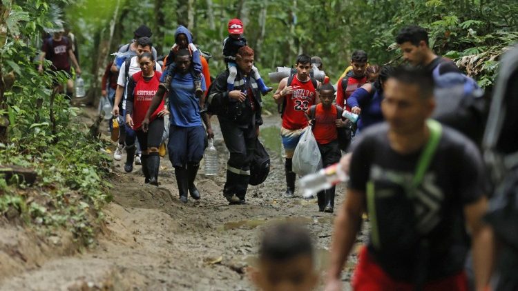 Migrants walk through forest areas