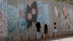 El muro de protección construido por Israel. (ANSA)
