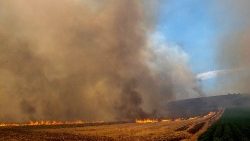 Im Großraum Volos in Griechenland flammten Brände wieder auf