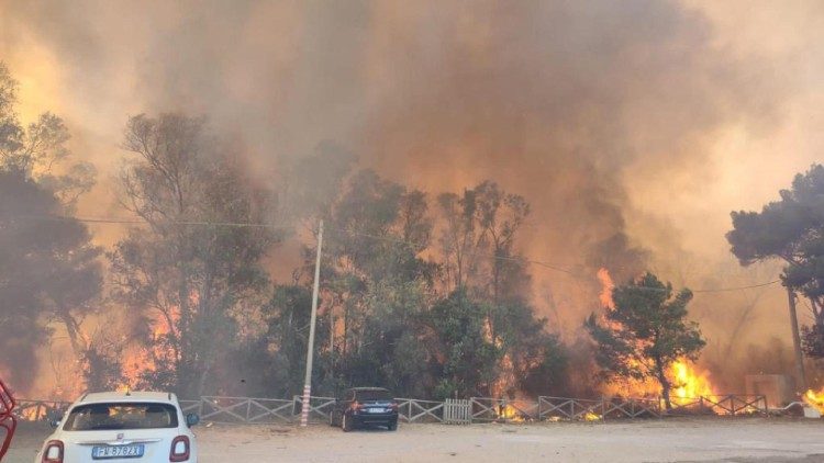 V pátek 28. července požár zachvátil piniový les v apulijské obci Ugento na jihu Itálie
