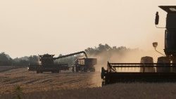 Weizenernte in der Ukraine