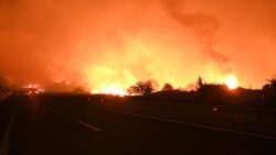 ギリシャ北東アレクサンドルポリスのハイウェイに迫る山火事　2023年8月23日
