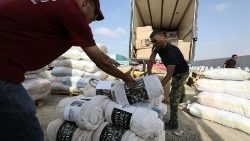 人道援助物品通过拉法口岸运送到加沙地区