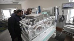 Newborns evacuated from Gaza hospital prepare to be transferred to Egypt