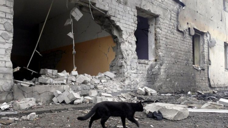 Um gato passa por um prédio danificado após um ataque noturno de drone em Odesa, sul da Ucrânia, em 14 de dezembro de 2023. EPA/IGOR TKACHENKO