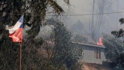 Incendies de forêt dans la région de Viña del Mar, le 3 février 2024, à 120 kilomètres de Santiago du Chili. 