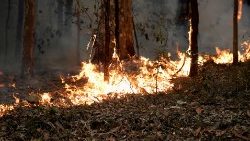 Bushfires in New South Wales, Australia