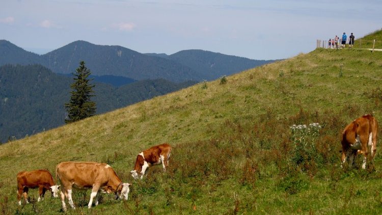 Eine Landschaft in Bayern